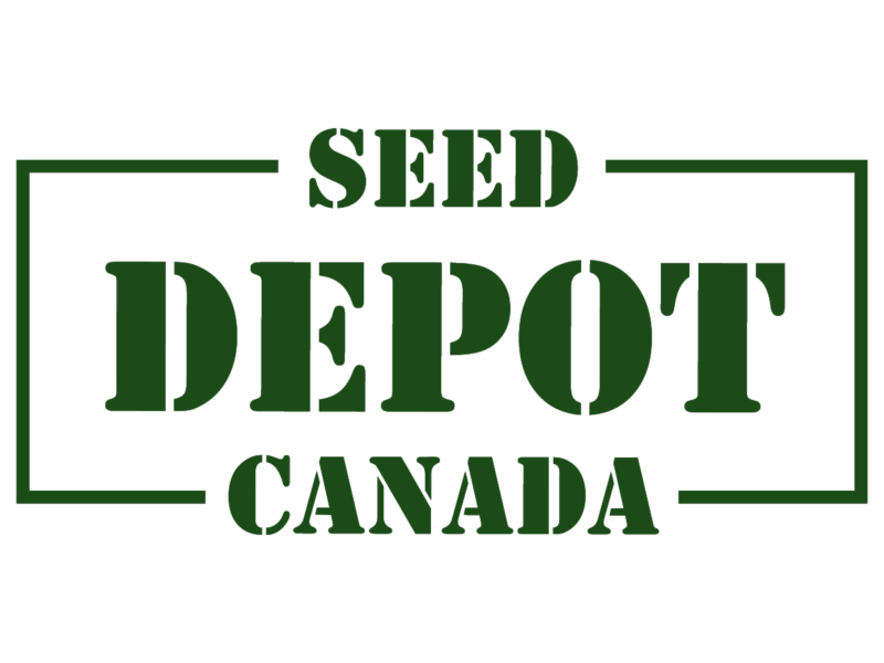 Oreoz Strain: The Perfect Blend of Power, Flavor, and Relaxation