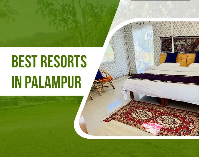 Tatva Bir Resorts