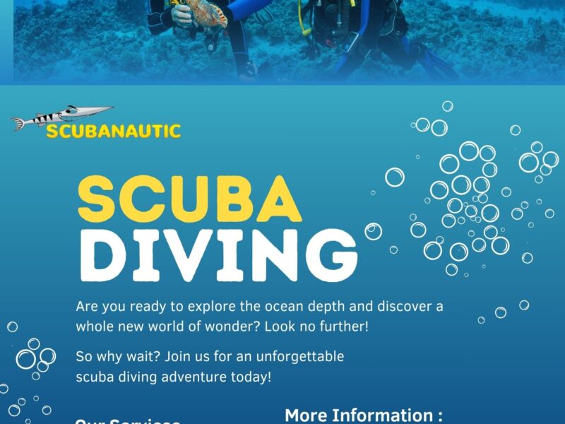 Explore the Deep Blue with the Best Diving in Mallorca Experience