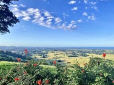 Building and Pest Inspection in Byron Shire