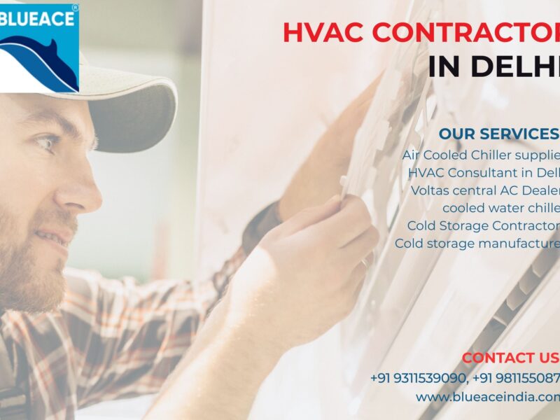 Blueace India Limited