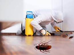 Get Guaranteed Results with Cockroach Pest Control Dubai & Sharjah