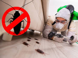 Protect Your Home with Professional Cockroach Pest Control Dubai!