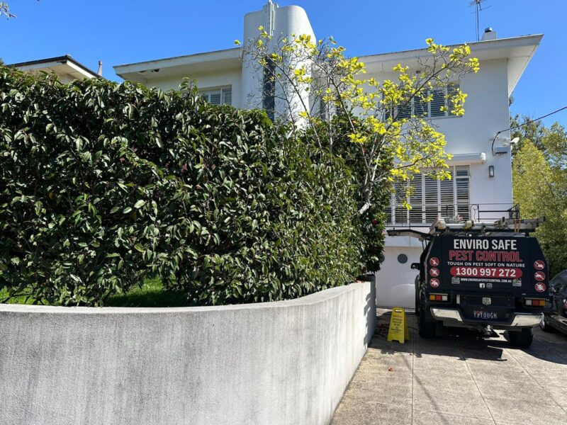 Enviro Safe Pest Control