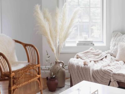 Discover the Timeless Beauty of Pampas Grass for Your Home