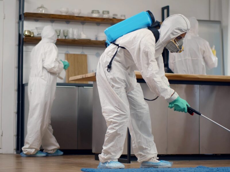 Professional Pest Control Services for Homes & Businesses in Dubai