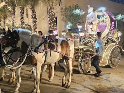 Praful Wedding Planner