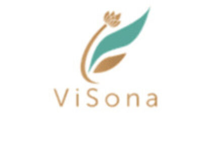 ViSona: Your Trusted Partner for Indie Beauty Contract Manufacturing Success