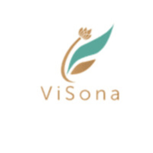 ViSona: Your Trusted Partner for Indie Beauty Contract Manufacturing Success