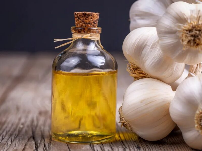 Garlic Oil Bulk Suppliers