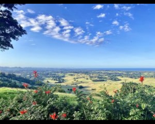 Building and Pest Inspection in Byron Shire