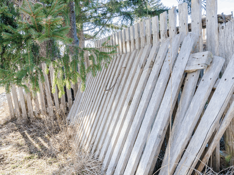 Fence Repair And Removal Madras