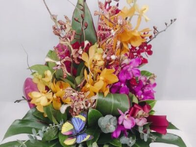Same Day Flower Delivery Point Cook - Blossoms of Wyndham