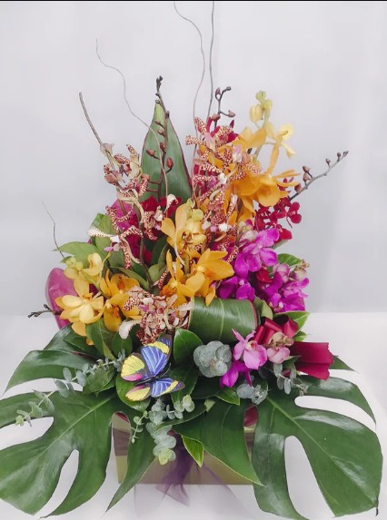 Same Day Flower Delivery Point Cook - Blossoms of Wyndham