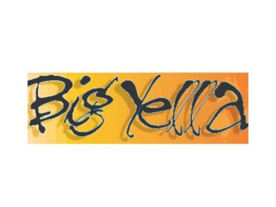 VW Tricycle Custom VW Trike