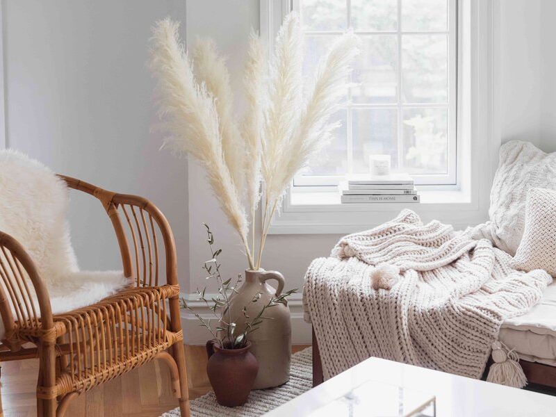 Discover the Timeless Beauty of Pampas Grass for Your Home