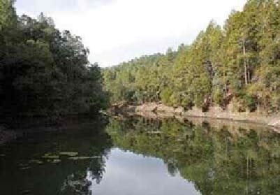 MyHillTour Ranikhet Tour Package – Explore Nature’s Hidden Gem