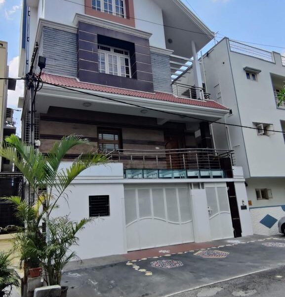 Go Xpert Painting Services