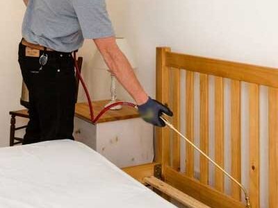 Book Expert Bed Bug Pest Control Near You Today!