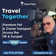 Professional Dog Transport Service for Local & International Journeys
