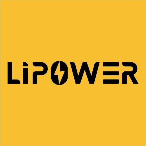 LIPOWER NEW ENERGY TECHＮOLOGY CO LTD
