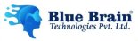Blue Brain Technologies - Best Website Design and Development Company in Noida