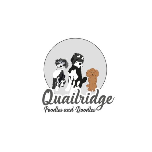 Quailridge Poodles & Doodles