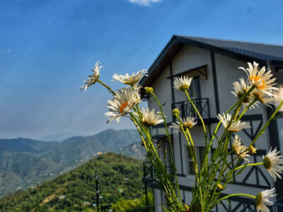 Best Homestays in Mukteshwar | Luxury & Boutique Homestays in Mukteshwar