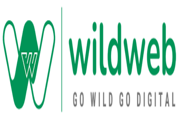 Best Local SEO Agency in Maharashtra - WildWeb Digital