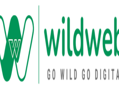 Leading SEO Agency in Maharashtra - WildWeb Digital