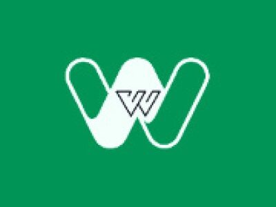 Top Social Media Marketing Agency in Maharashtra - WildWeb Digital