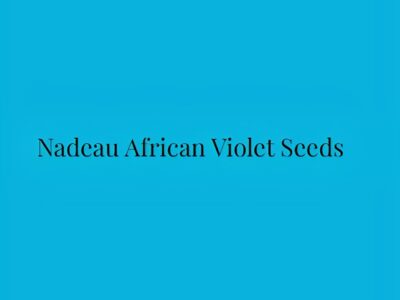 Nadeau African Violet Seeds