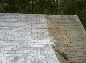 Residential Roof Cleaning George