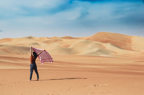 Best Desert Safari Operators in Abu Dhabi