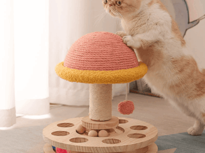 Playtime Fun Pets Toys That Encourage Movement Curiosity and Joy