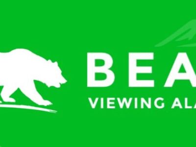 Bear Viewing Tours Alaska, Wilderness Alaska Bear Tours
