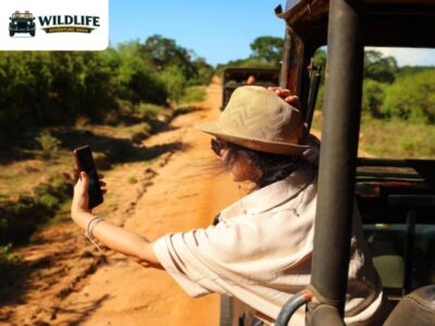 Pench Safari Gypsy Booking – Official Online Reservation