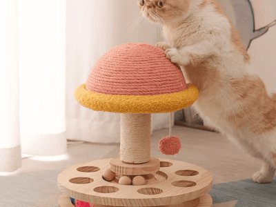 Playtime Fun Pets Toys That Encourage Movement Curiosity and Joy