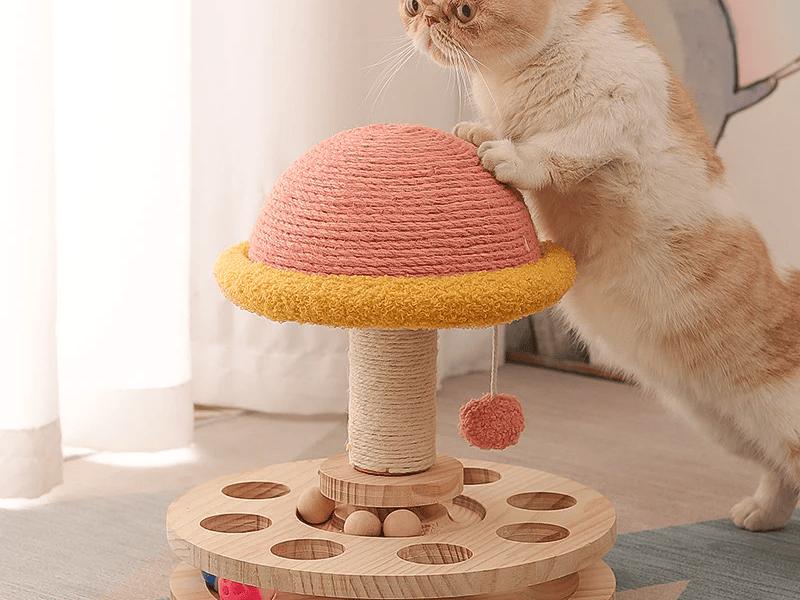 Playtime Fun Pets Toys That Encourage Movement Curiosity and Joy